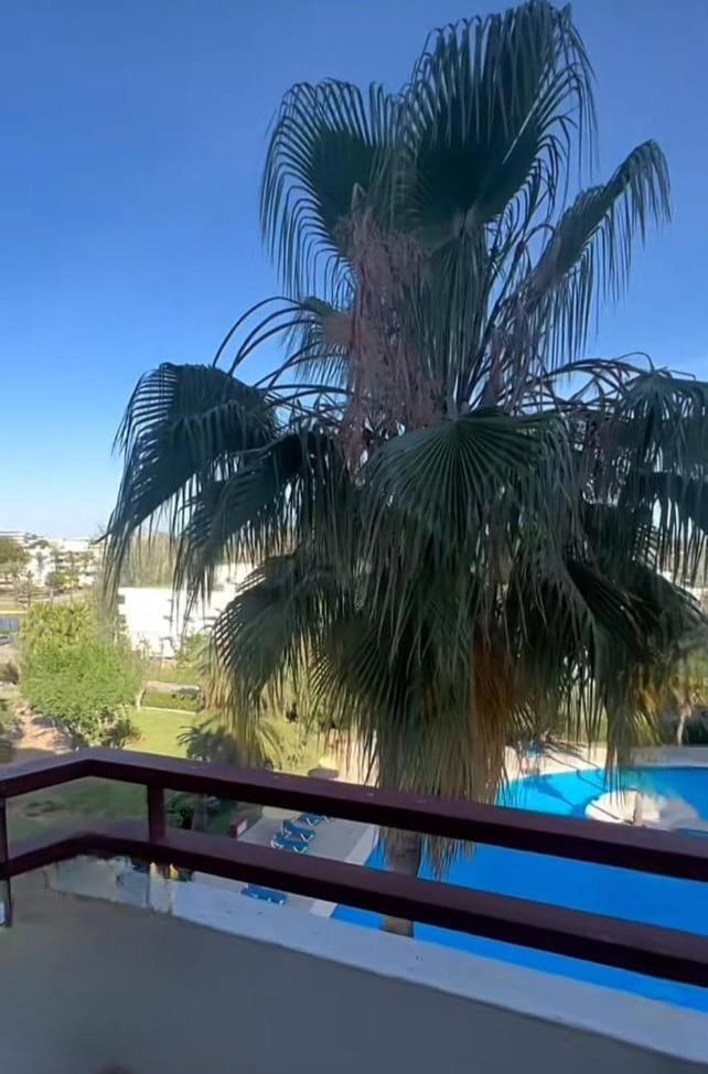 Bright Apartment In Puerto Alcudia Port d'Alcúdia Extérieur photo